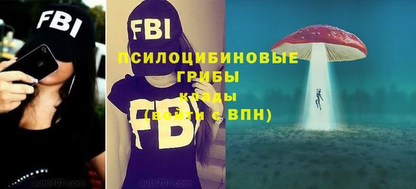 хмурый Алексеевка
