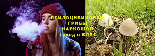 Альфа ПВП Абаза