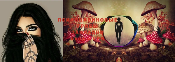 гидра Абинск